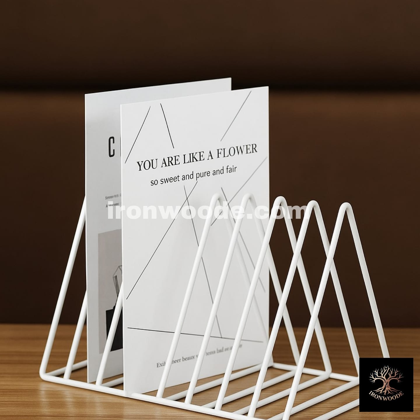 Metal Desk Book Holder Modern Minimalist Book Shelf-1211